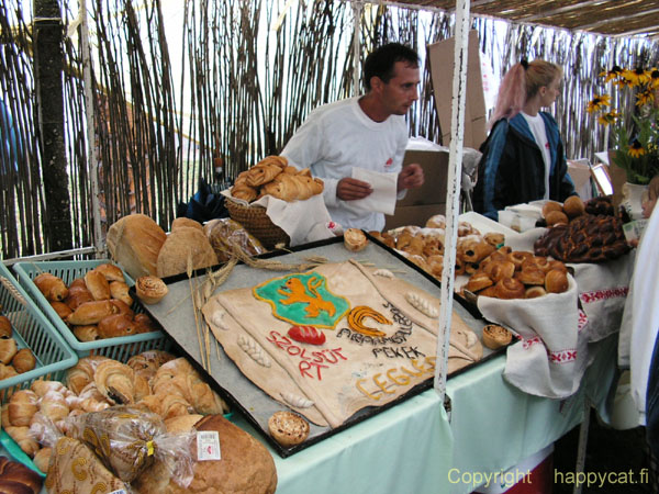 PICT0431_bread_festival_hungary