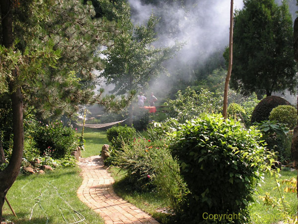 PICT0225_grill_smoke_in_the_backyard
